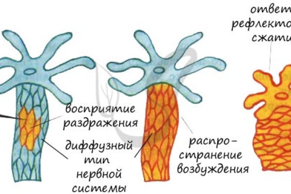 Vk2 at кракен